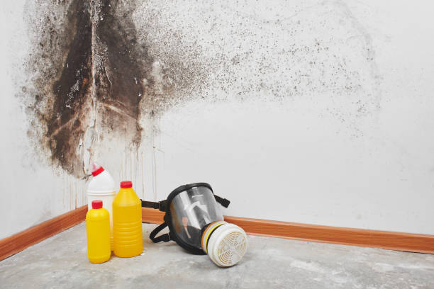 Best Bathroom Mold Remediation in Conneaut Lakeshore, PA